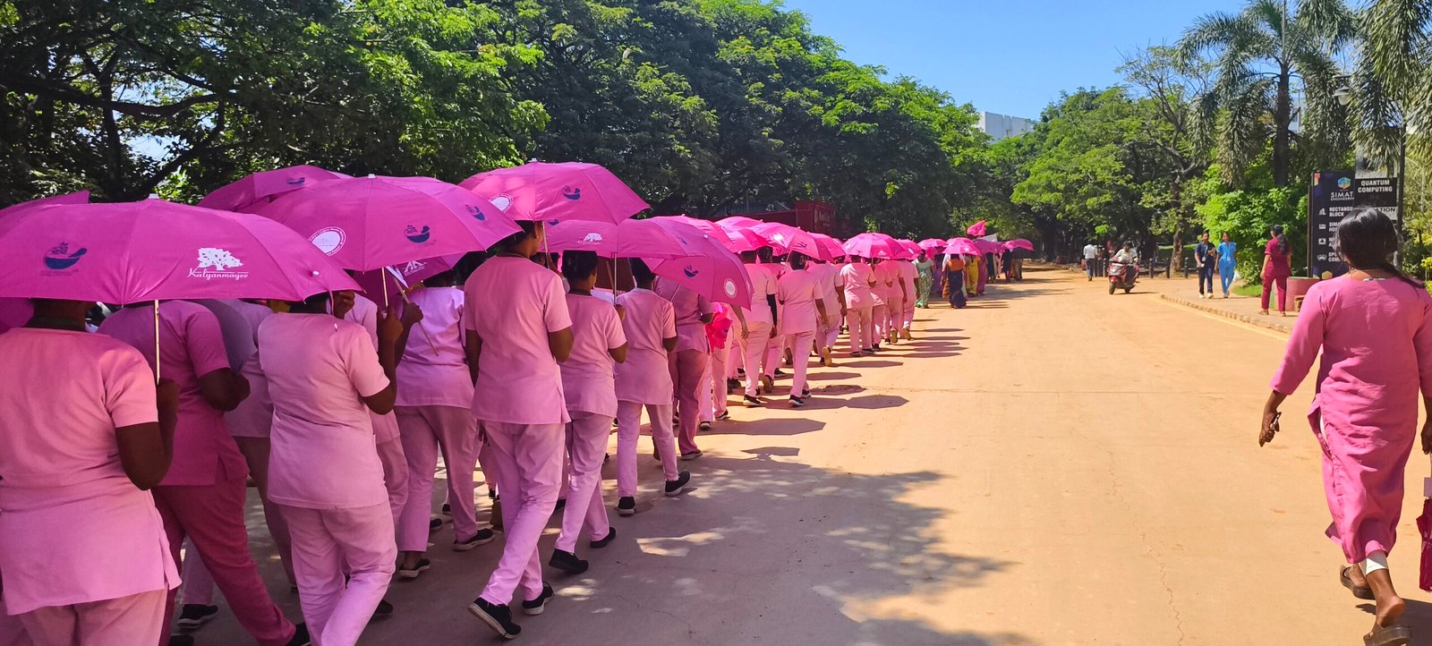An India Turns Pink pink-umbrella walk along a tree-lined avenue